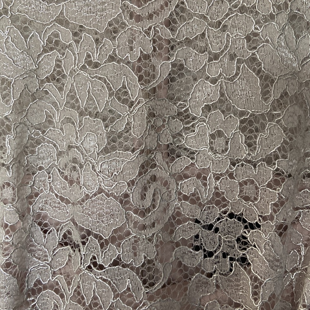 Adrienna Pappell Lace Dress Sz 18W NWT Color Icy Lilac gray very pretty holiday - Picture 3 of 17